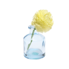 Chive Loft apothecary glass bud vase in light blue styled with a pale yellow ranunculus bloom.