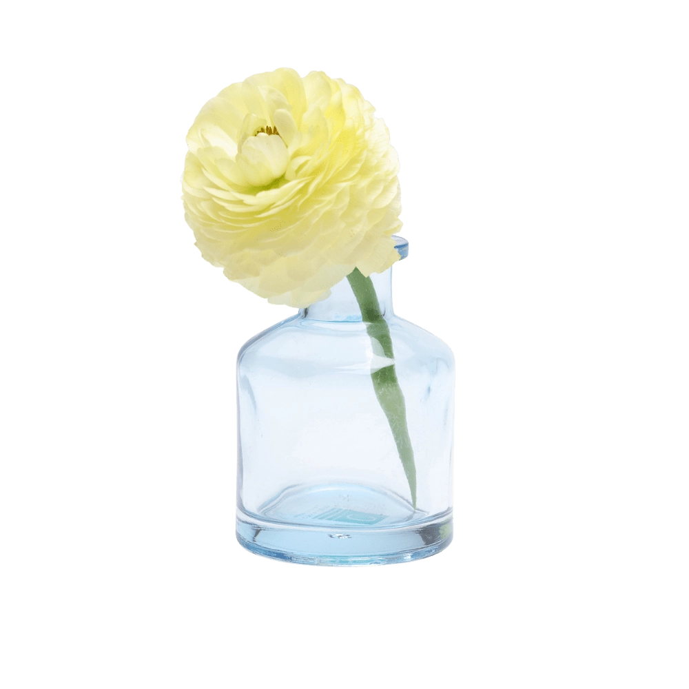 Chive Loft apothecary glass bud vase in light blue, shown from a side angle with a yellow ranunculus.