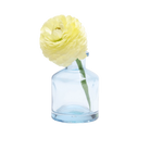 Chive Loft apothecary glass bud vase in light blue, shown from a side angle with a yellow ranunculus.
