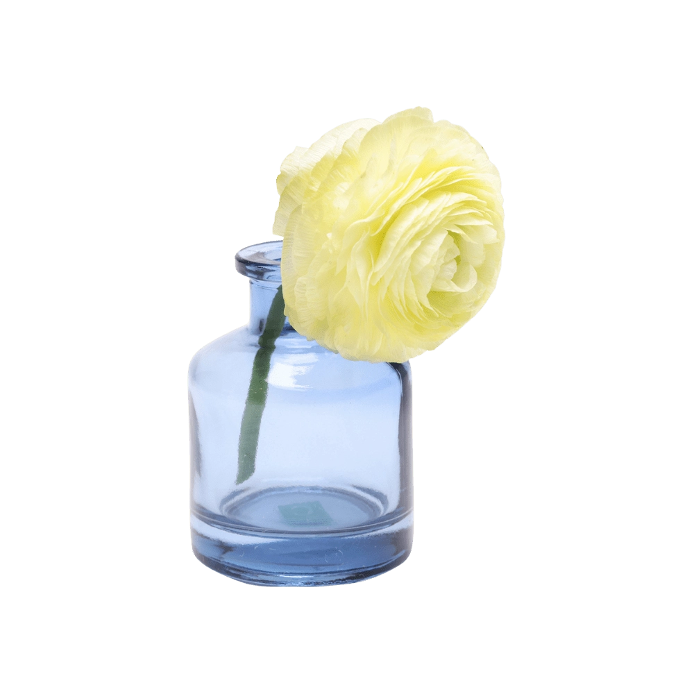 Chive Loft apothecary glass bud vase in medium blue styled with a pale yellow ranunculus bloom.
