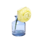 Chive Loft apothecary glass bud vase in medium blue styled with a pale yellow ranunculus bloom.