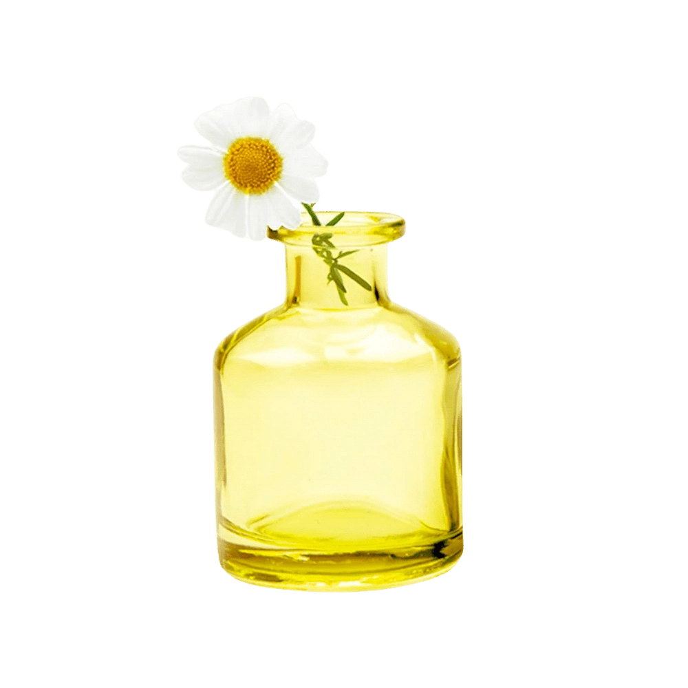 Chive Loft apothecary glass bud vase in yellow styled with a single white daisy bloom.