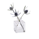 Chive Loft cube glass bud vase in clear glass styled with two blue thistle stems.