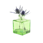 Chive Loft cube glass bud vase in green styled with two blue thistle stems.