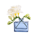 Chive Loft square glass bud vase in blue-grey styled with a stem of white freesia blooms.