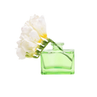 Chive Loft square glass bud vase in green holding freesia blooms, shown from a side angle.