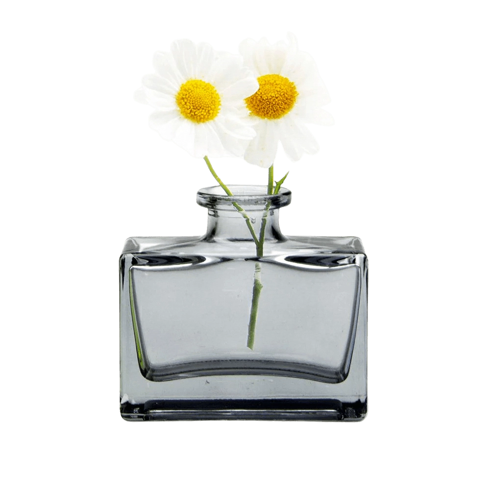 Chive Loft square glass bud vase in smoke grey styled with two small white daisy blooms.