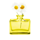 Chive Loft square glass bud vase in yellow styled with two small white daisy blooms.