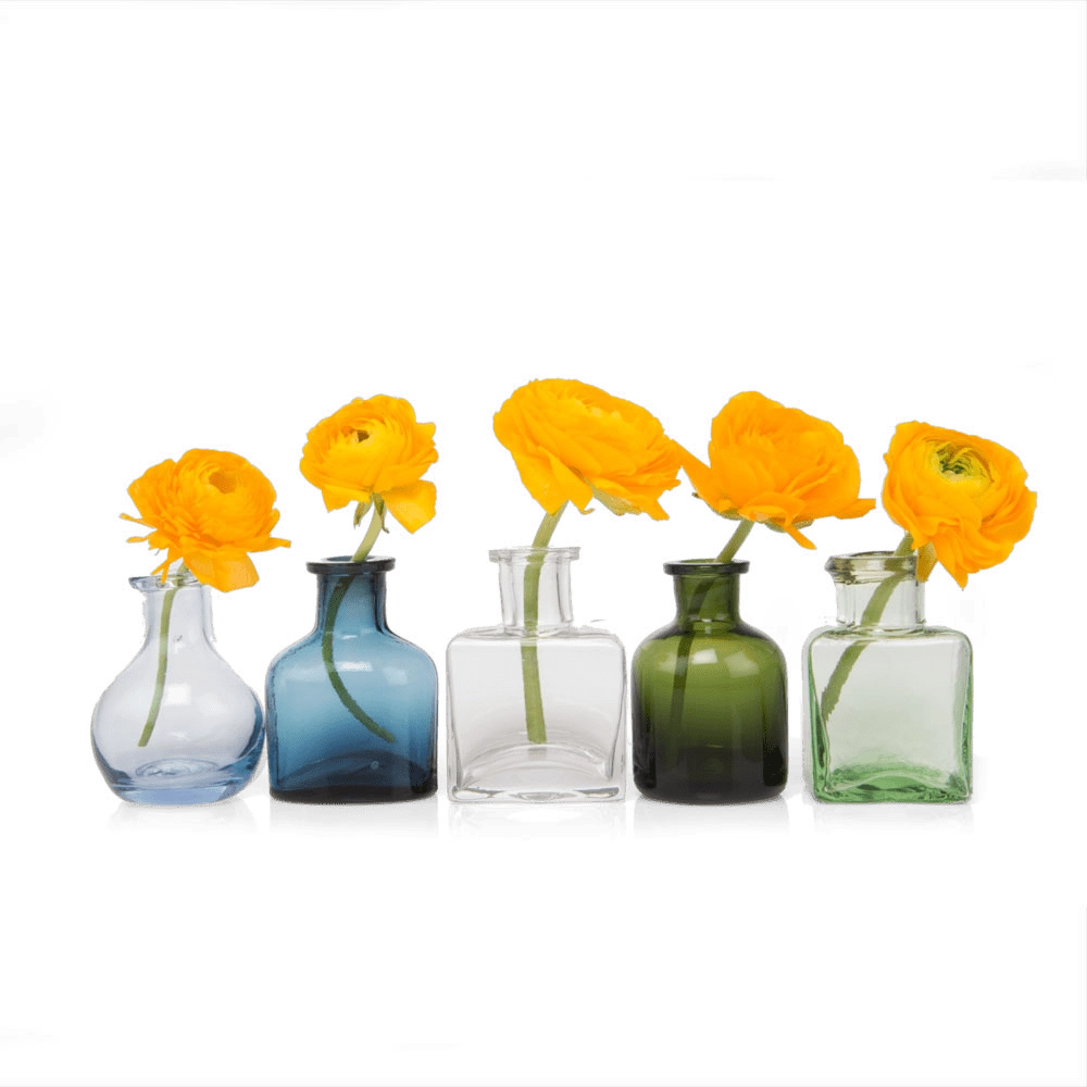 Chive Loft tall glass bud vases in five colorways grouped together, each styled with an orange ranunculus.