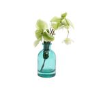 Chive Loft tall glass bud vase in teal styled with a green hellebore stem in bloom.