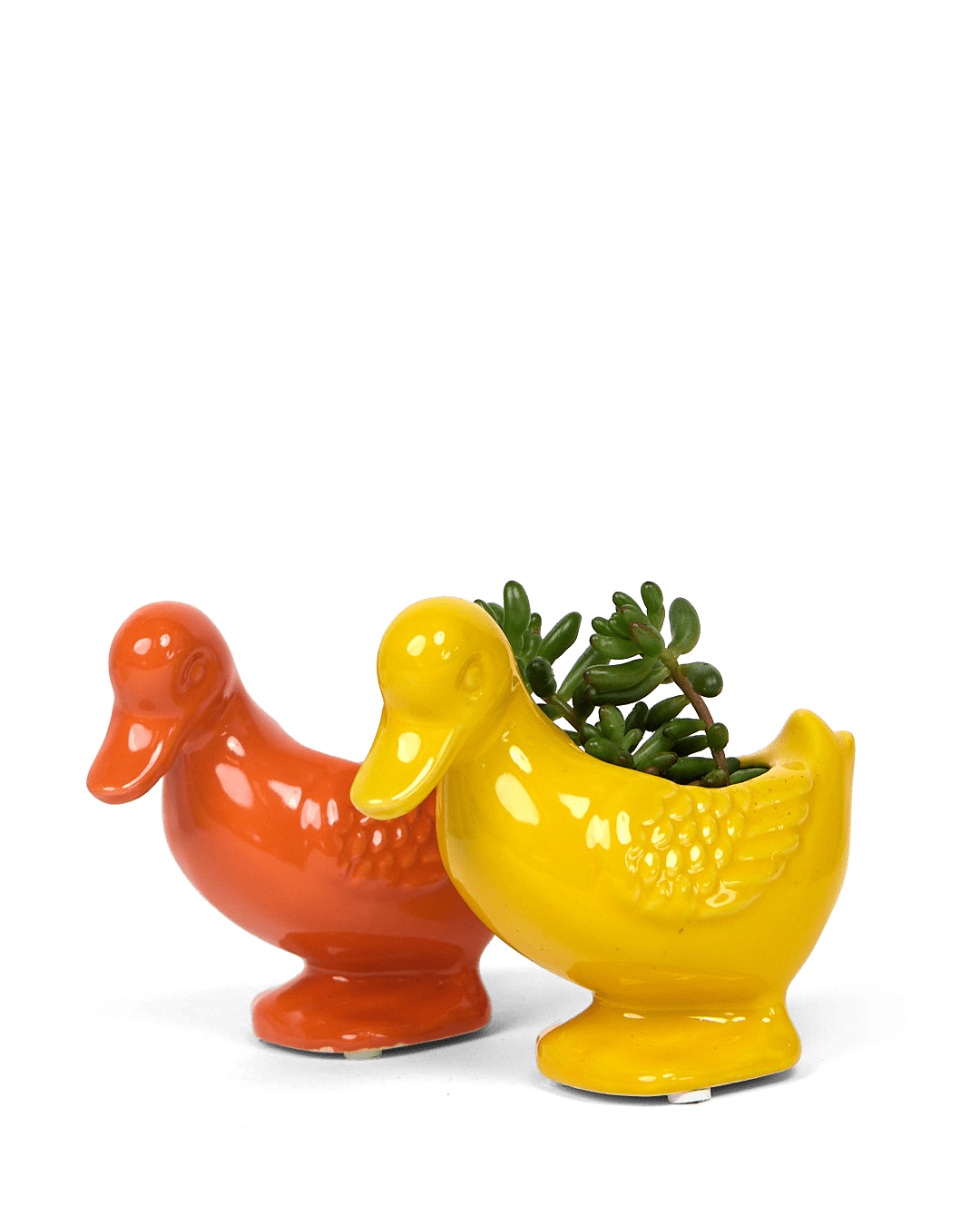 duck planter pot Duck Succulent Pot