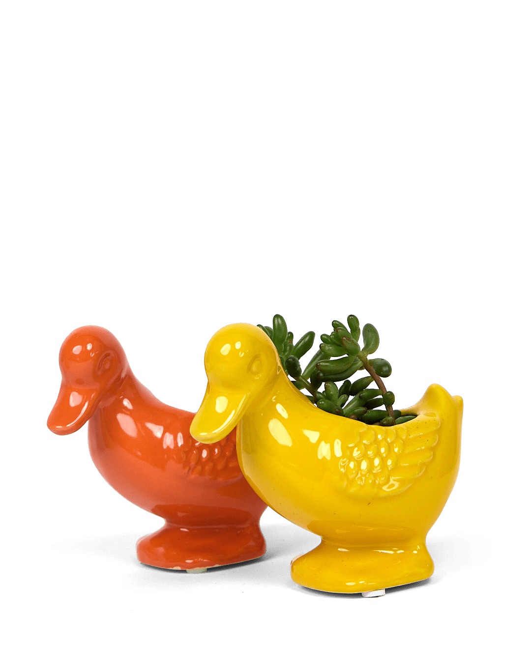 Duck Ceramic Indoor Plant Pot For Succulents - Chive Ceramics Studio - Pots - Chive US