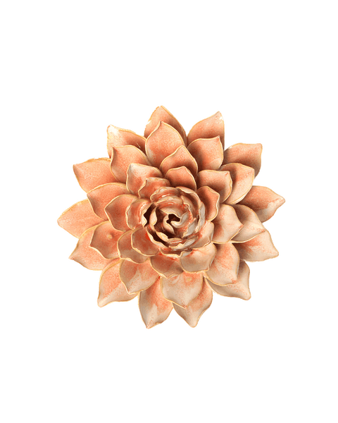 10th anniversary | Peach Pink Madonna Azalea | Chive