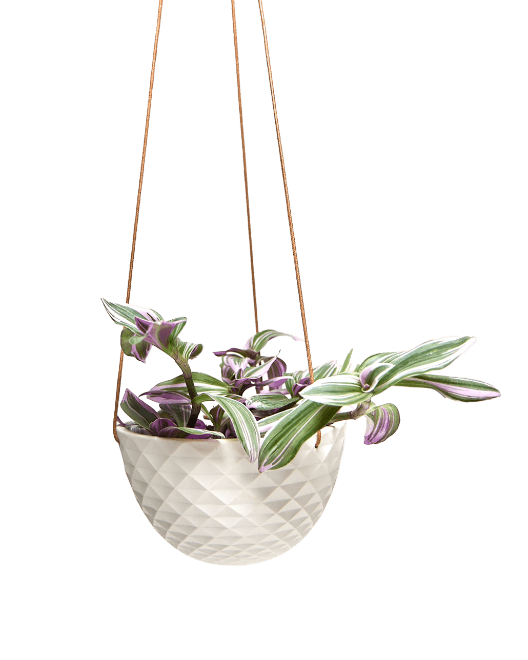 Mini Mofo Porcelain Modern Hanging Planter - Chive Ceramics Studio - Pots - Chive Ceramics Studio