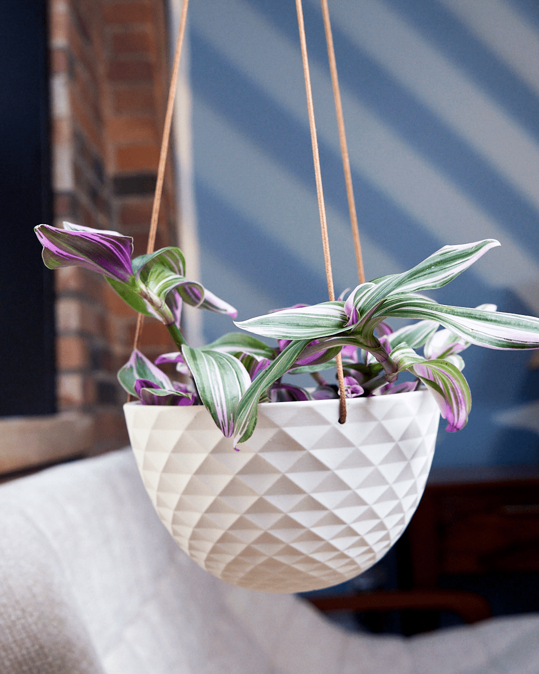 Mini Mofo Porcelain Modern Hanging Planter - Chive Ceramics Studio - Pots - Chive Ceramics Studio