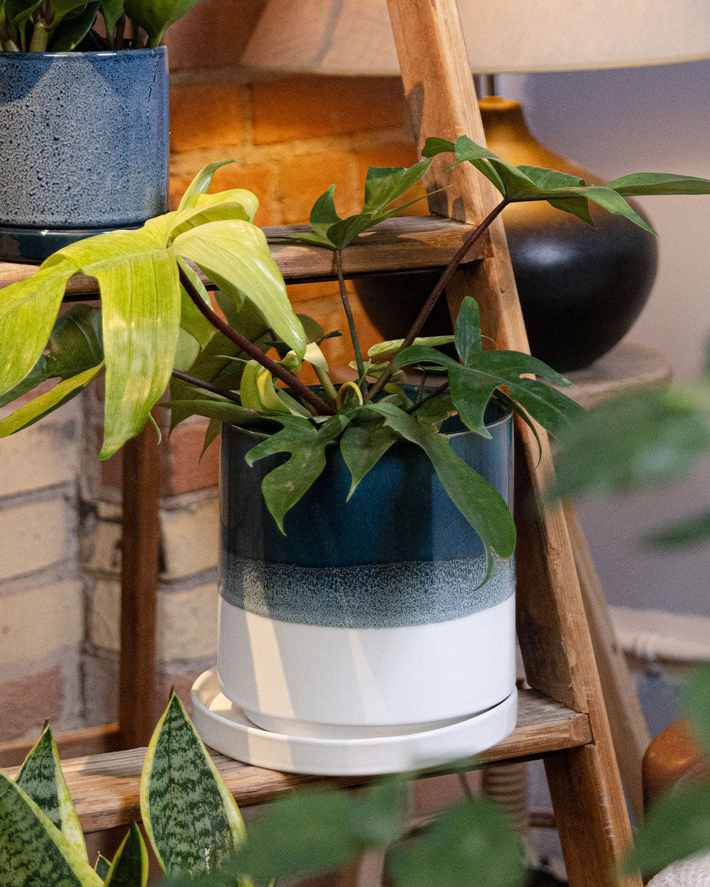 Chive Minute large green blue fully glazed ceramic planter pot styled with a plant on a wood ladder indoor.