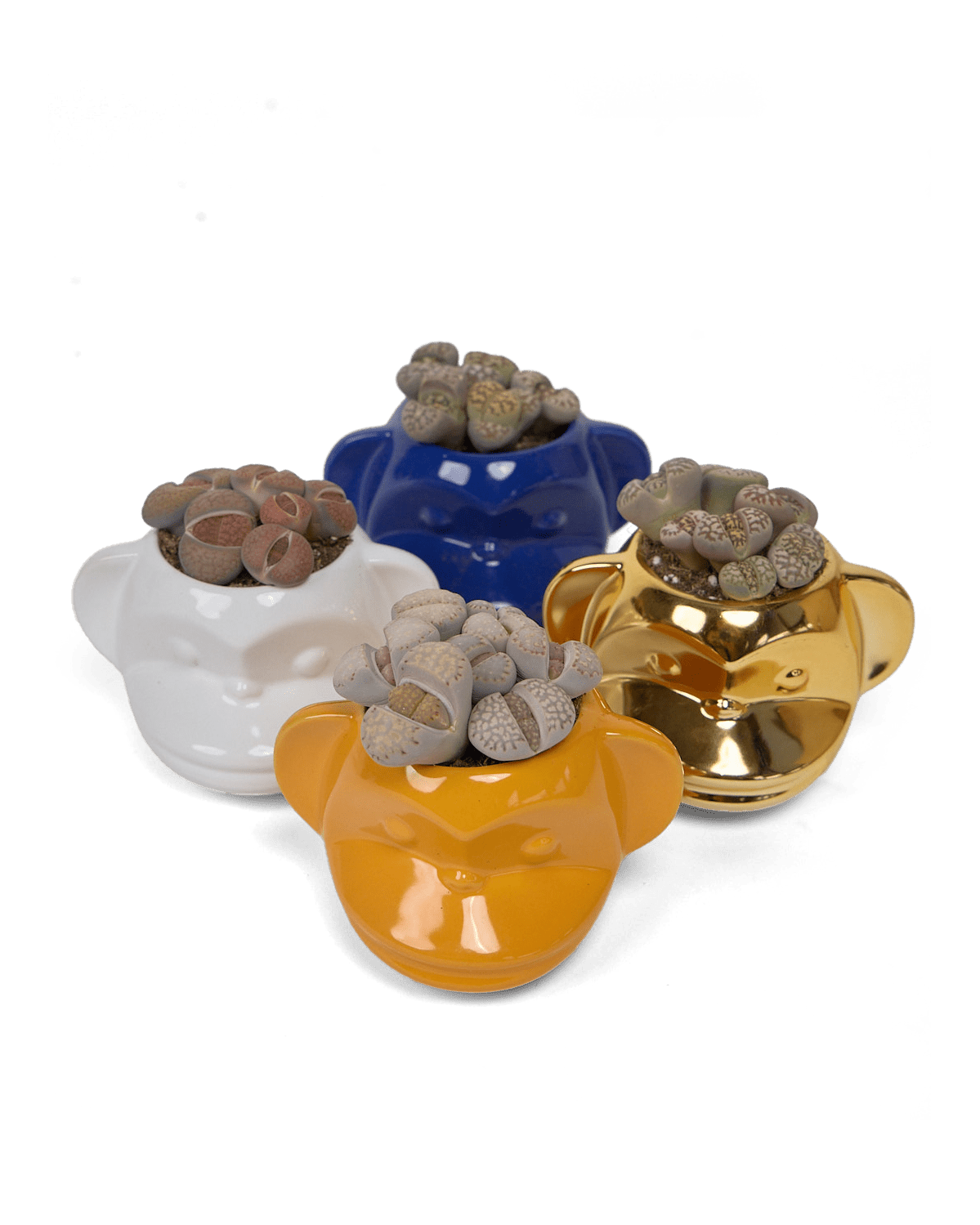 Funky Monkey Planter - Chive Ceramics Studio - Pots - Chive Ceramics Studio