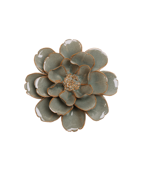 41st Anniversary Gift | Moss Grey Oxeye Daisy | Chive