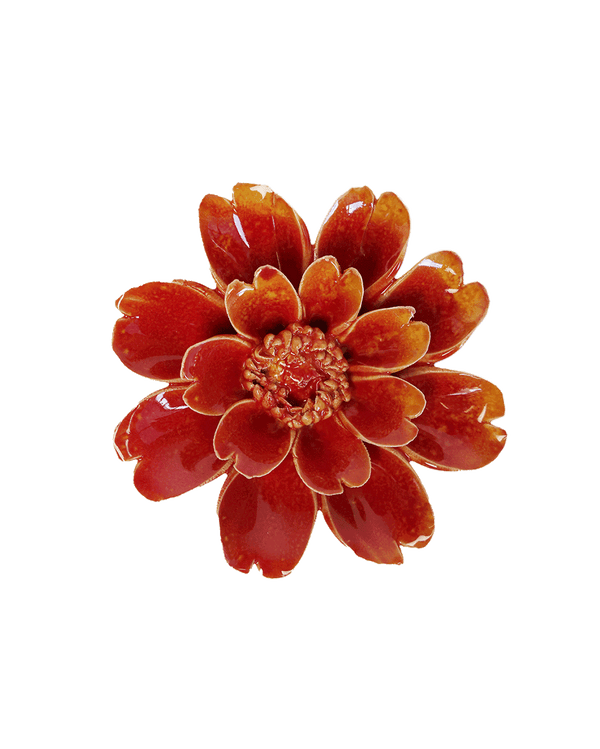 April Birth Flower - Daisy