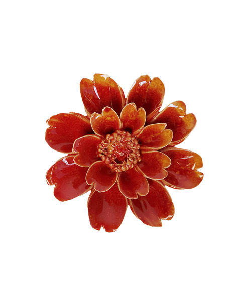 paris-daisy-orange-