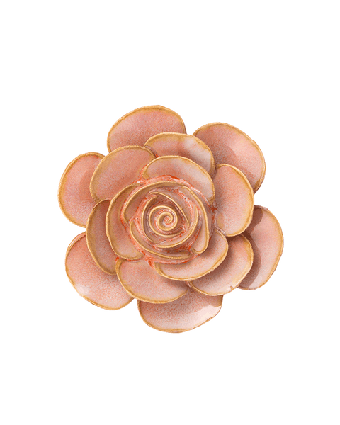 Peach Pink Cloni Ranunculus | Chive Ceramics Studio