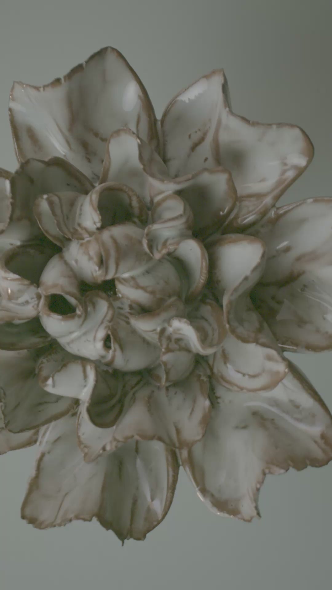 Chocolate mint Echo Lisianthus ceramic wall flower rotating in multi-angle macro close-up — Japan Collection — Chive Studio