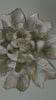Chocolate mint Echo Lisianthus ceramic wall flower rotating in multi-angle macro close-up — Japan Collection — Chive Studio