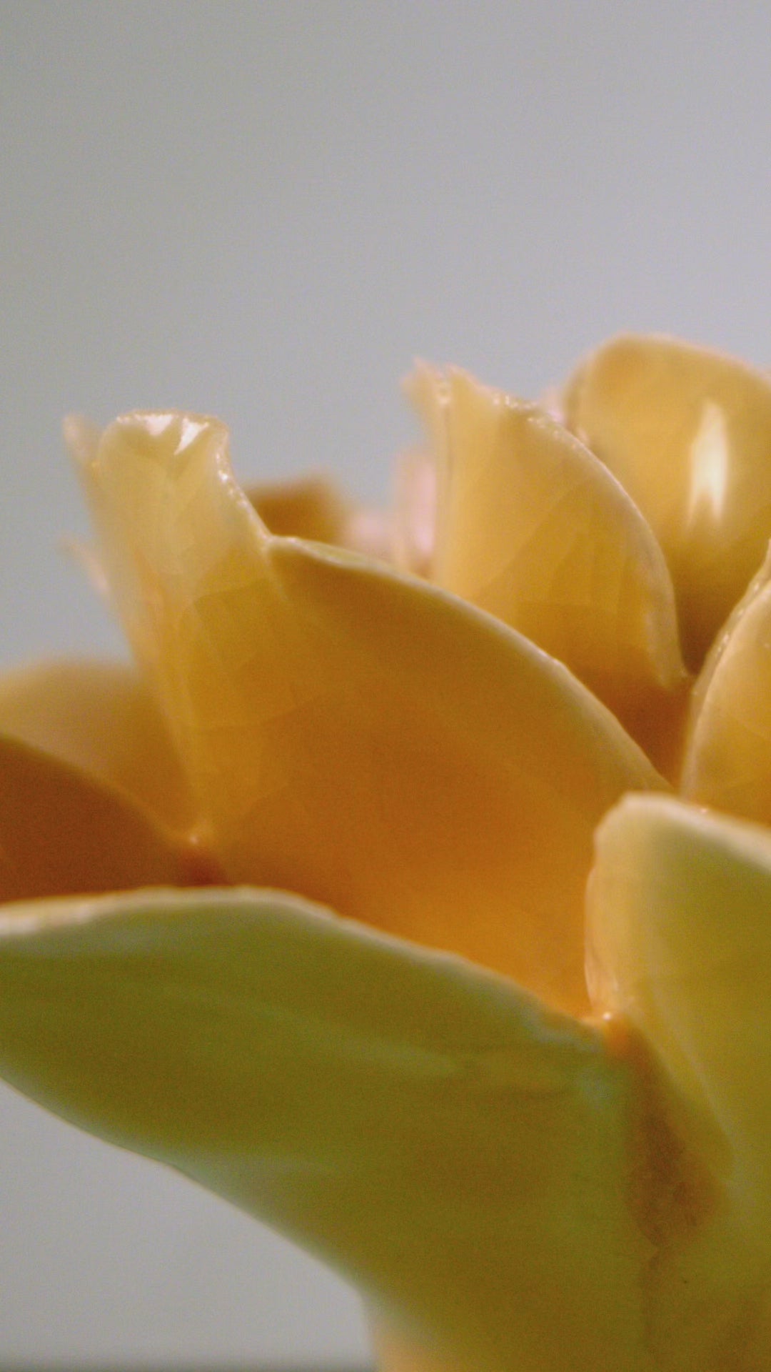 June Birth Flower Rose | Handmade Romantic Ceramic Wall Art - Chive