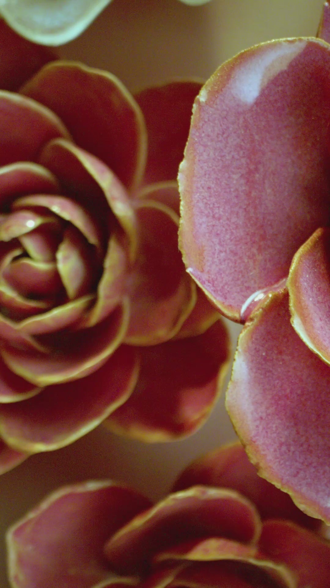 Milk Teal Tahitian Gardenia