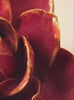 Chive ceramic flower product demonstration video.