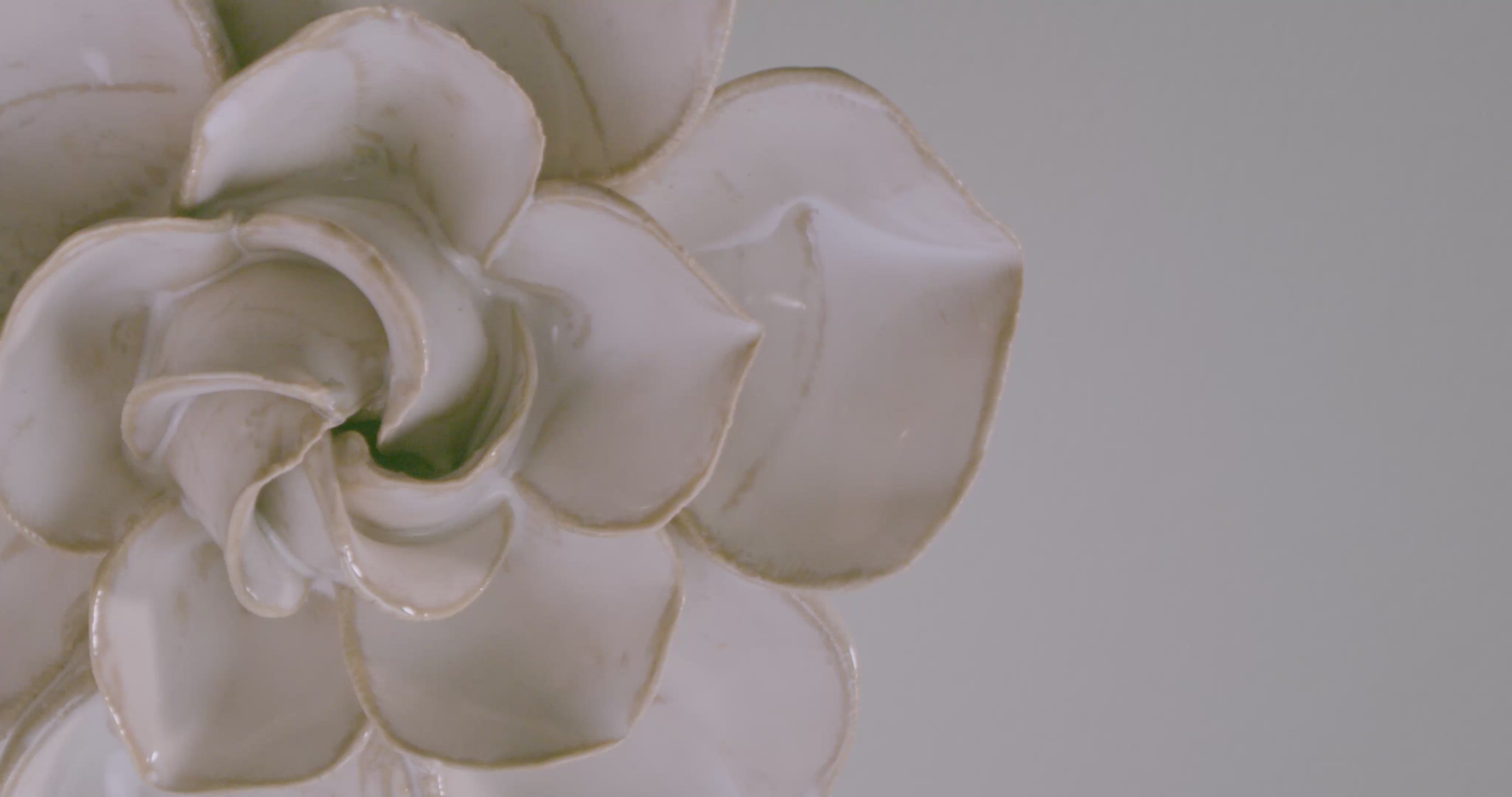 White ceramic flower rotating