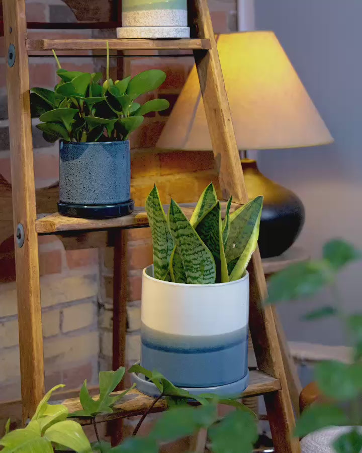 Large Minute Ceramic Plant Pot & Saucer — Green Layer | Chive Studio