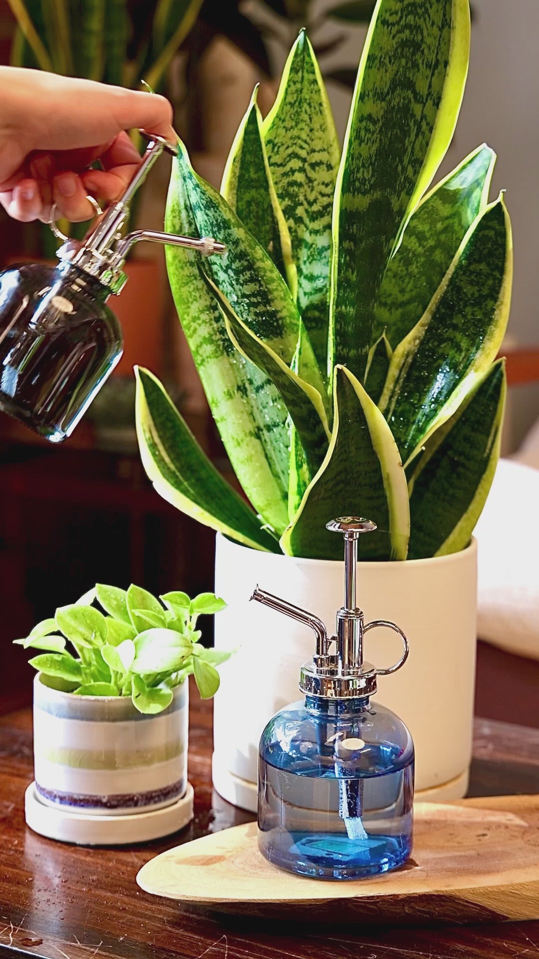 Glass Plant Mister Midnight Blue | Chive