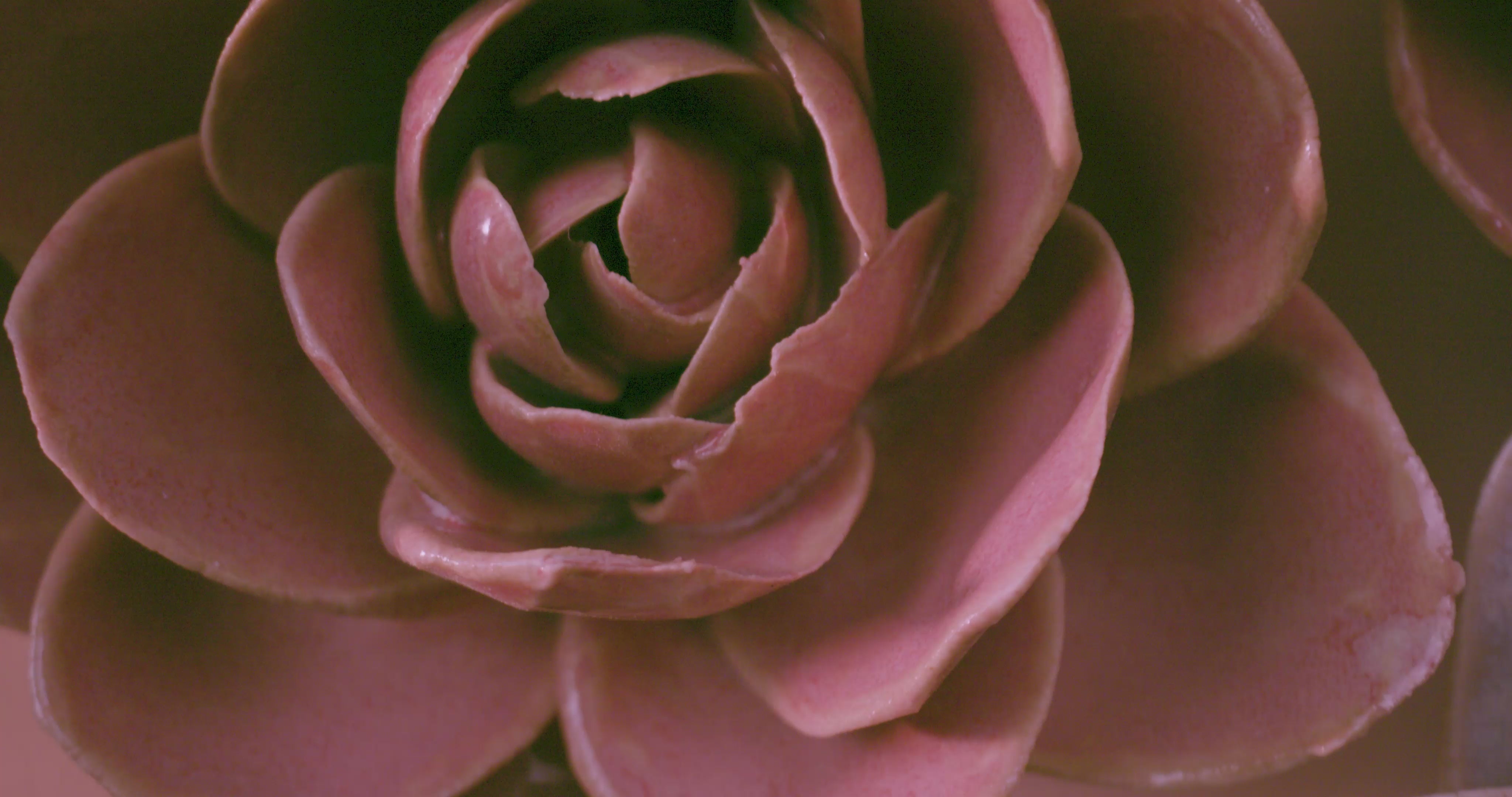 Spinning ceramic flowers in various sizes