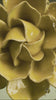 Buttercup Yellow Daffodil ceramic wall flower — English Garden — handmade by Chive Studio Toronto