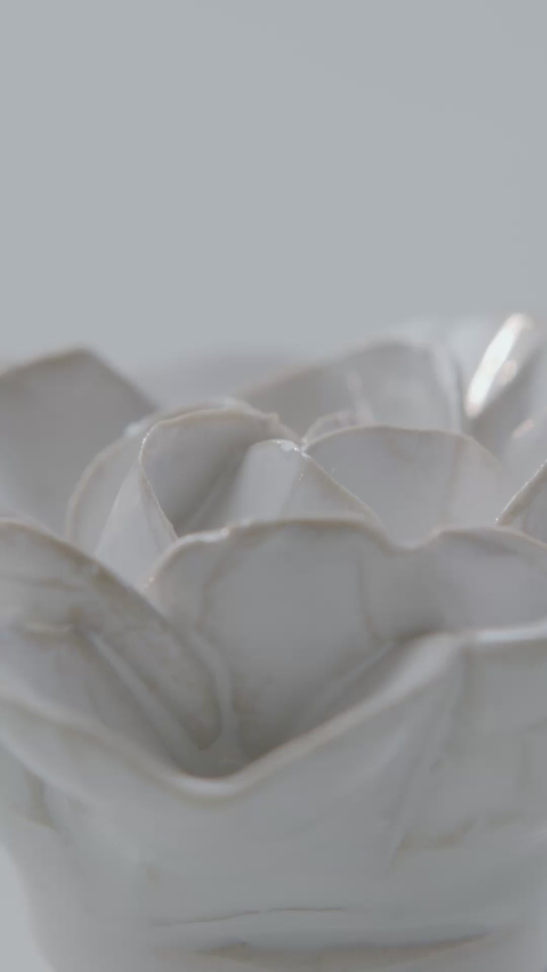 Ivory daffodil ceramic wall flower rotating in multi-angle macro close-up — English Garden Collection — Chive Studio
