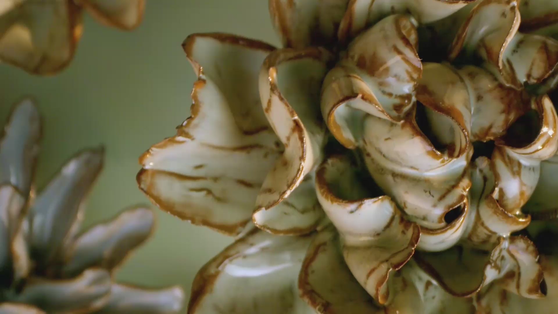 Japandi Aesthetic — Japan Ceramic Flowers | Chive