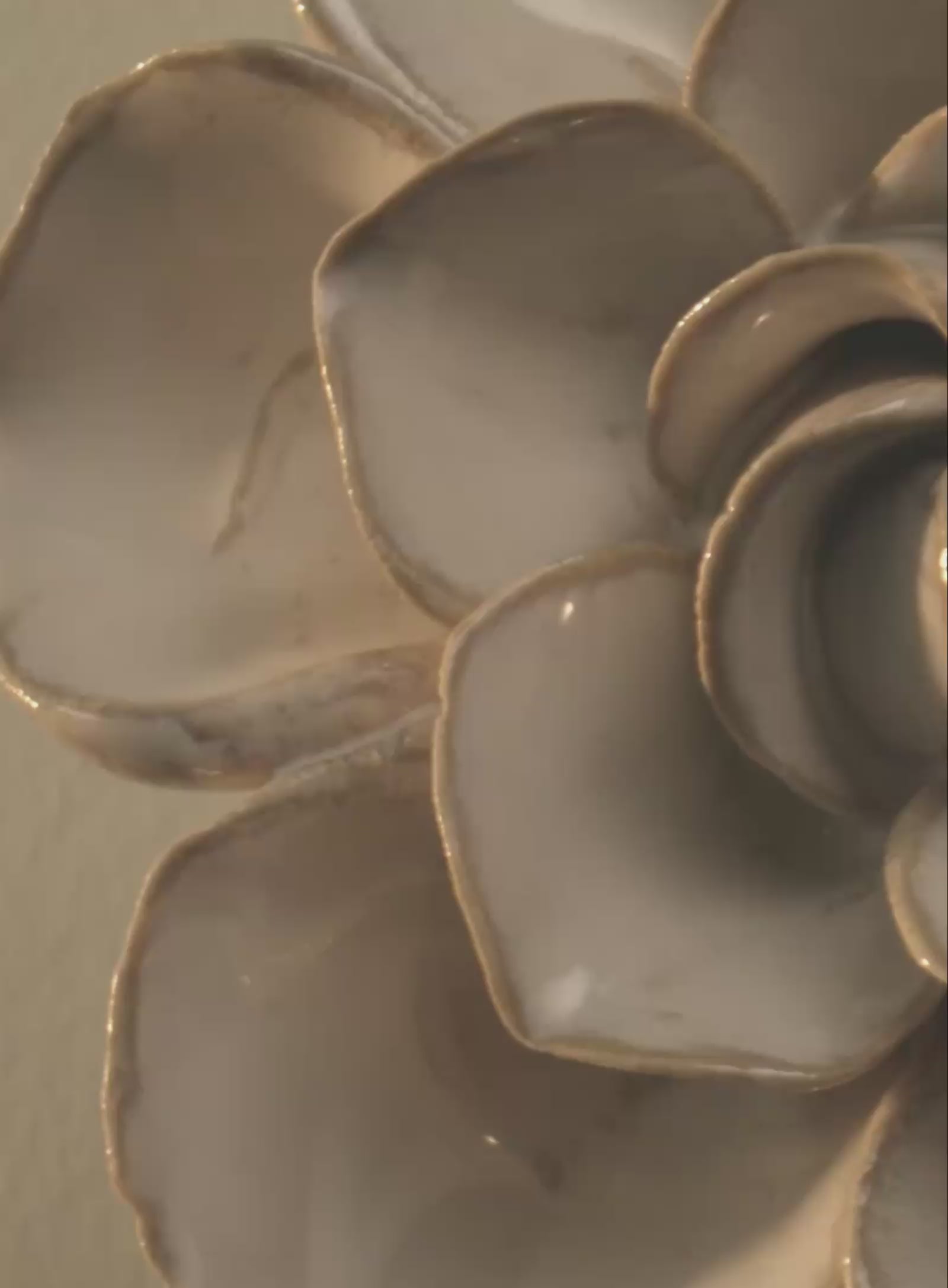 Chive ivory ceramic flower product demonstration video.