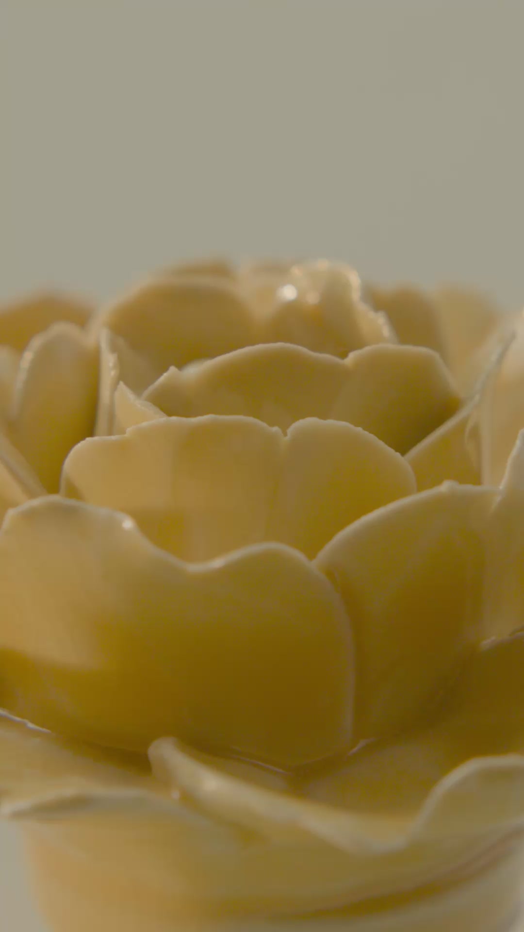 Burnt yellow rose ceramic wall flower rotating in multi-angle macro close-up — English Garden Collection — Chive Studio