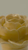 Burnt yellow rose ceramic wall flower rotating in multi-angle macro close-up — English Garden Collection — Chive Studio