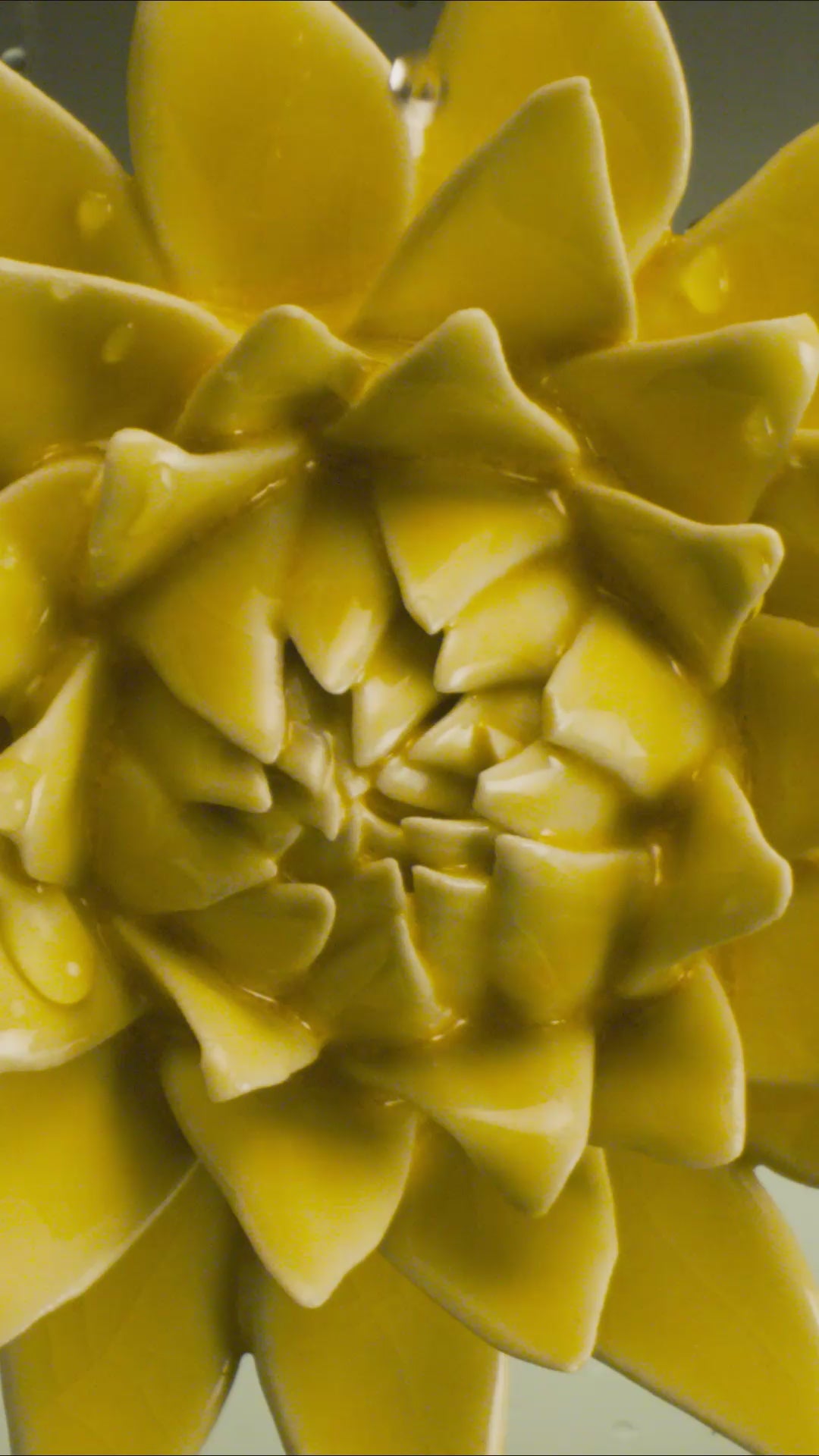 Burnt Yellow Strawflower ceramic wall flower — English Garden — handmade by Chive Studio Toronto