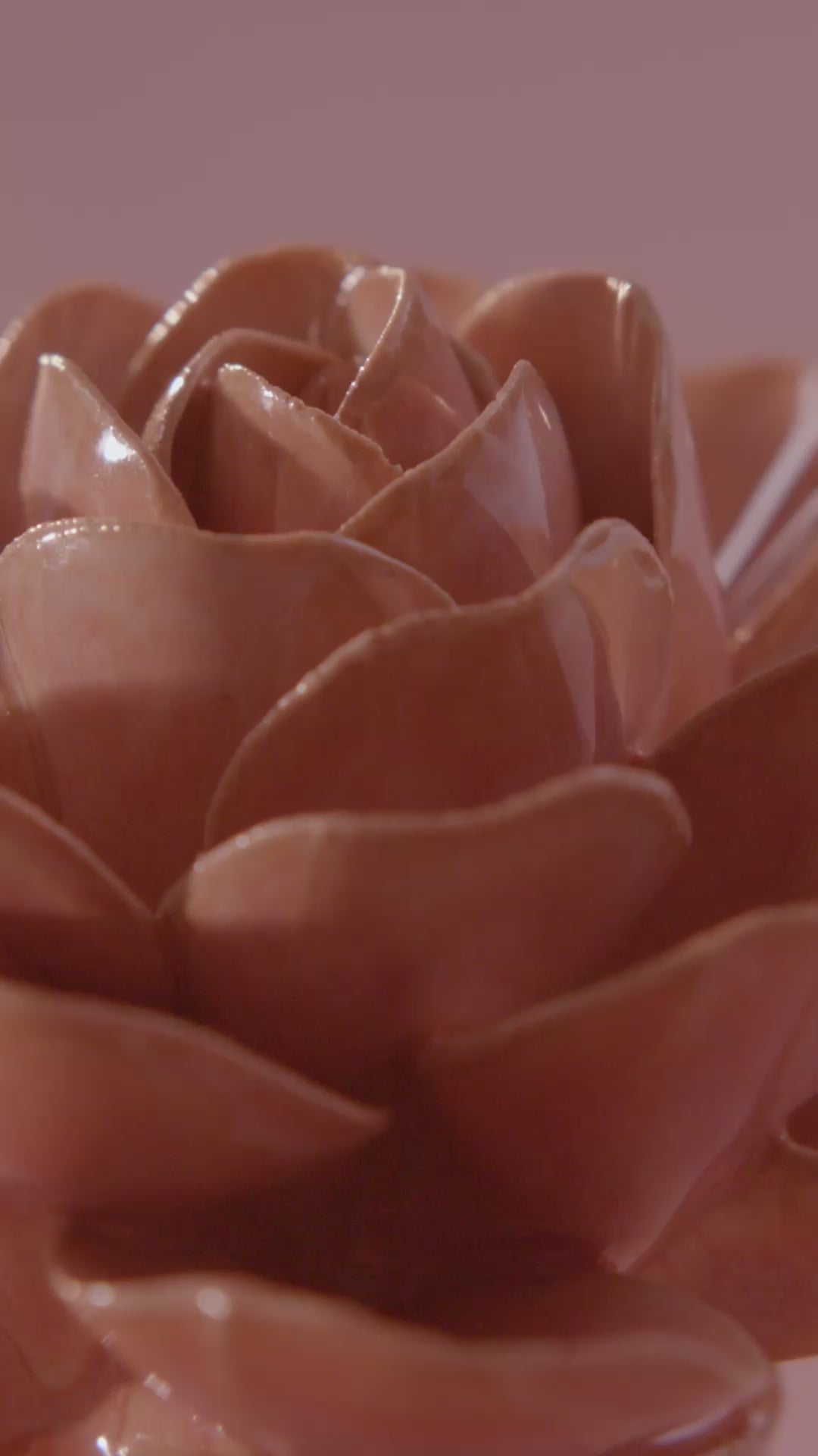Peach pink begonia ceramic wall flower rotating in multi-angle macro close-up — France Collection — Chive Studio