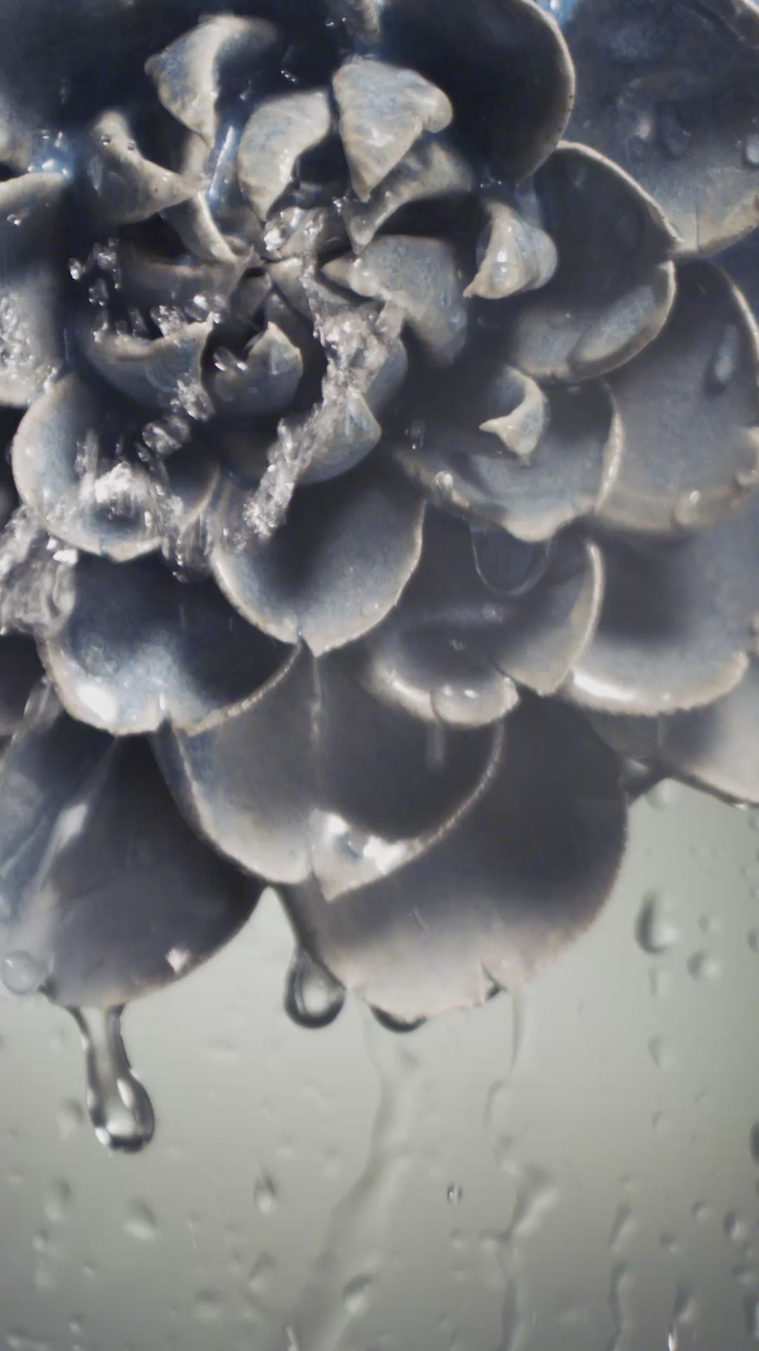Fancy blue fiesta marigold ceramic wall flower with water cascading over ceramic petals captured in slow motion — Japan Collection — Chive Studio