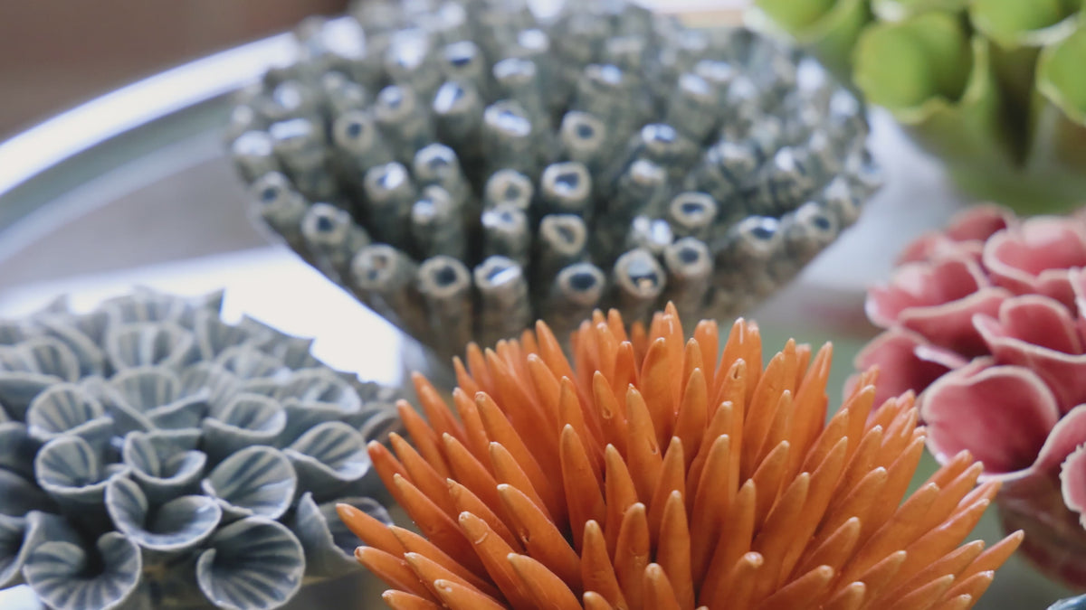 Slow pan across a variety of colorful coral ceramic flowers in macro — coral wall art by Chive Studio.