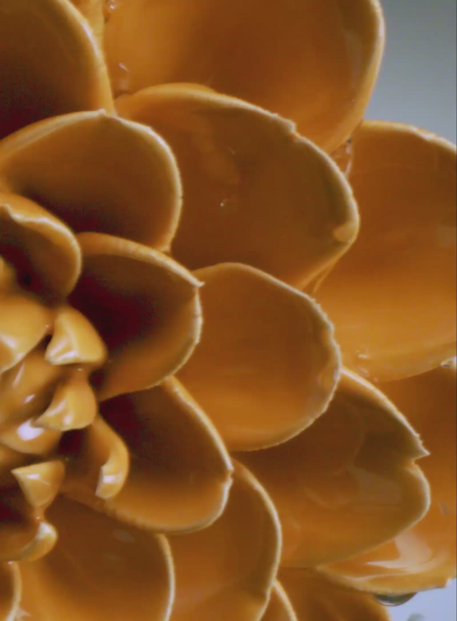 Chive ceramic flower product demonstration video.