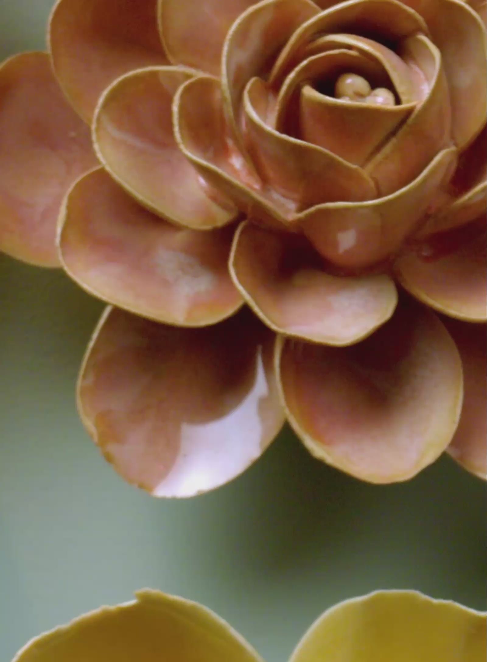 Chive ceramic flower product demonstration video.