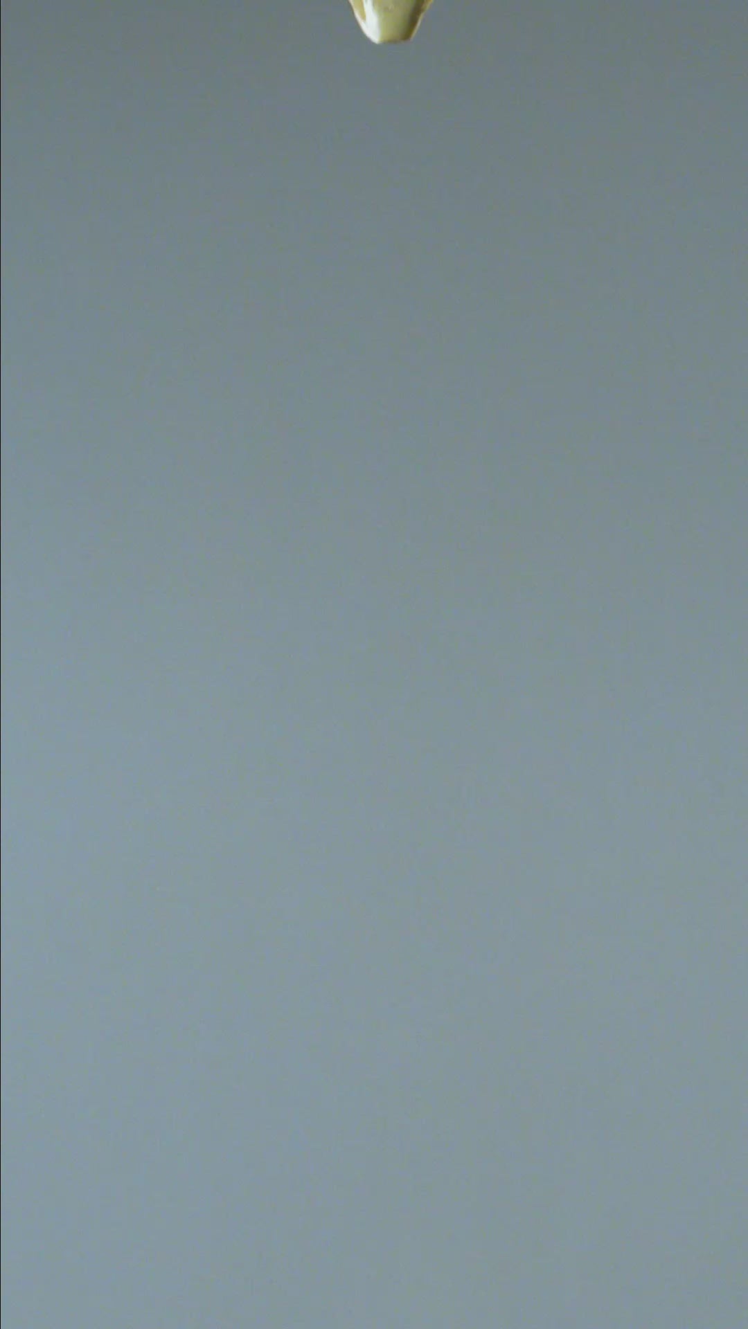 July Birth Flower - Water Lily ceramic wall flower — Birth Flower Collection — handmade by Chive Studio Toronto