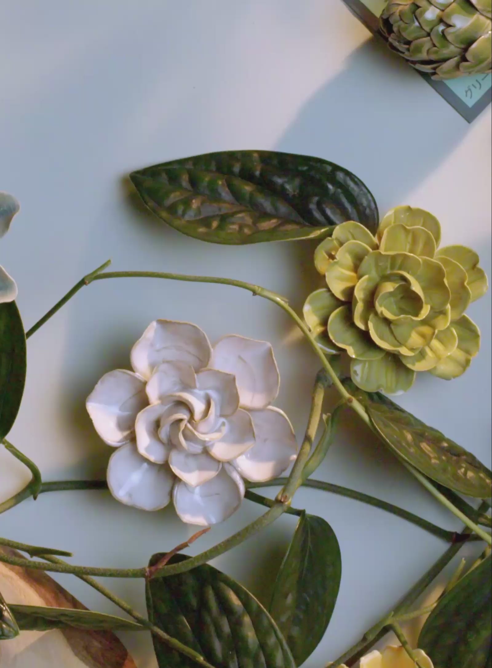 Primrose Flower Meaning | February Birth Flower | Chive