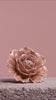 Champagne pink rose ceramic wall flower shattered by sledgehammer exploding into pieces with a trail of white smoke in slow motion — English Garden Collection — Chive Studio