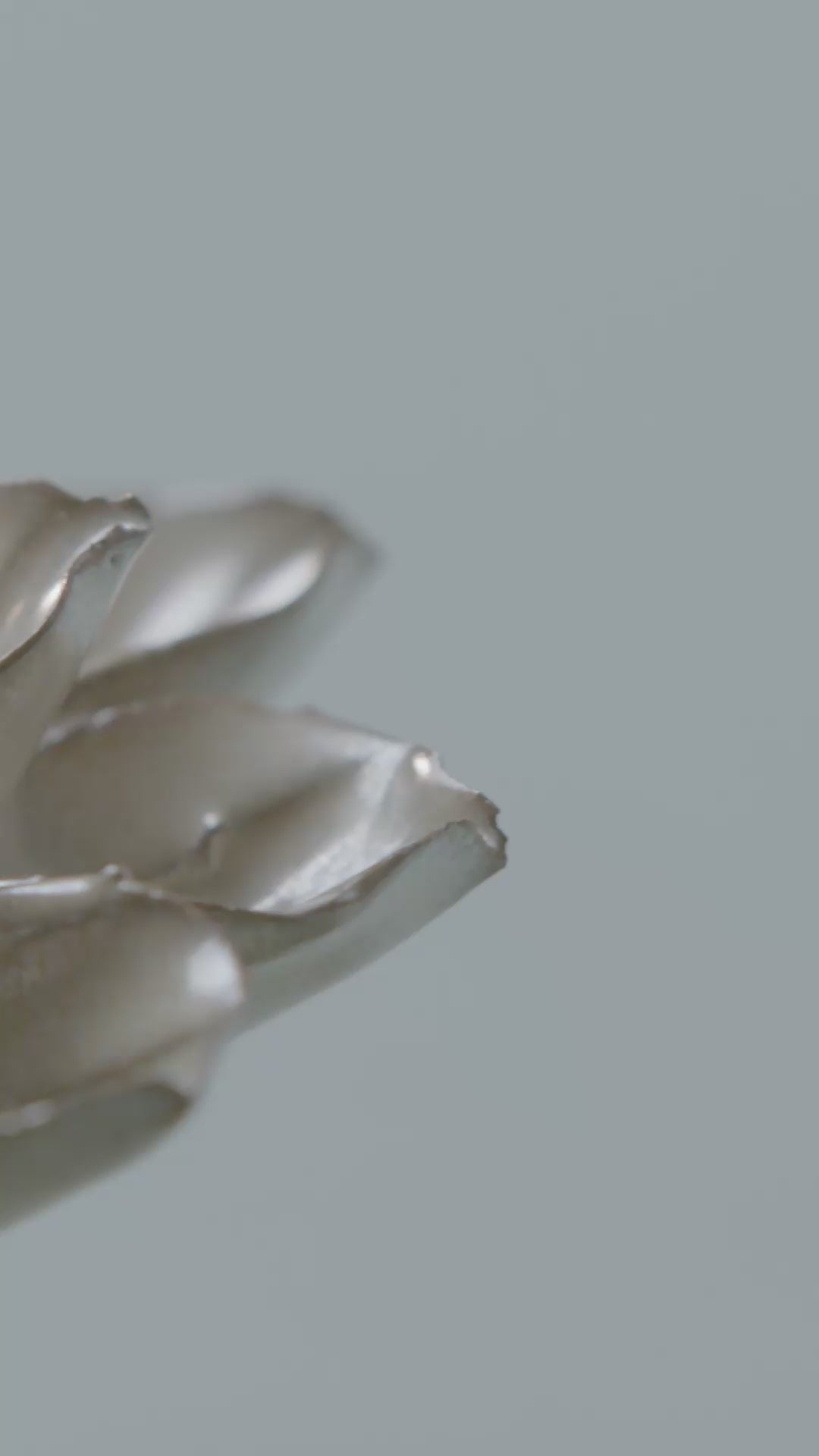 Metallic Frikartii Aster Ceramic Wall Flower | Chive